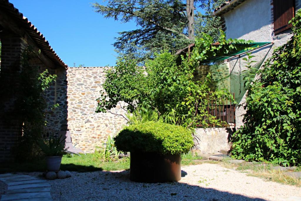 La ferme Ranc - gite le cosy Gagnières Extérieur photo